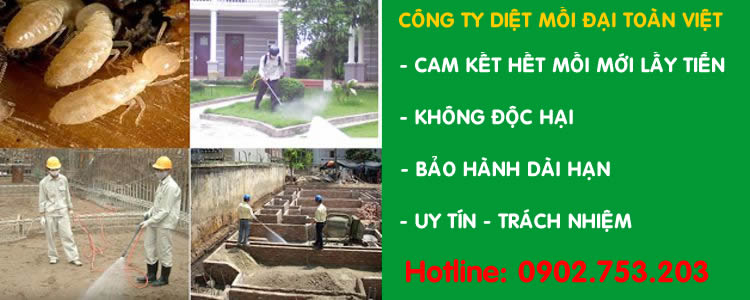 Diệt mối và côn trùng tại Quận Phú Nhuận